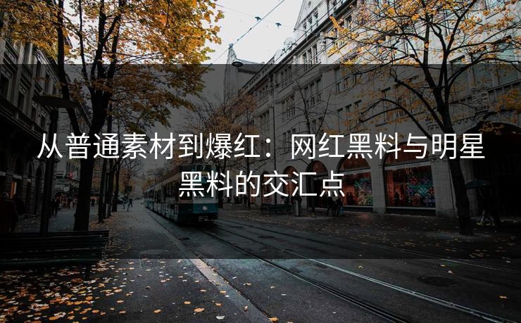 从普通素材到爆红：网红黑料与明星黑料的交汇点