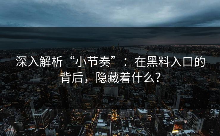 深入解析“小节奏”：在黑料入口的背后，隐藏着什么？
