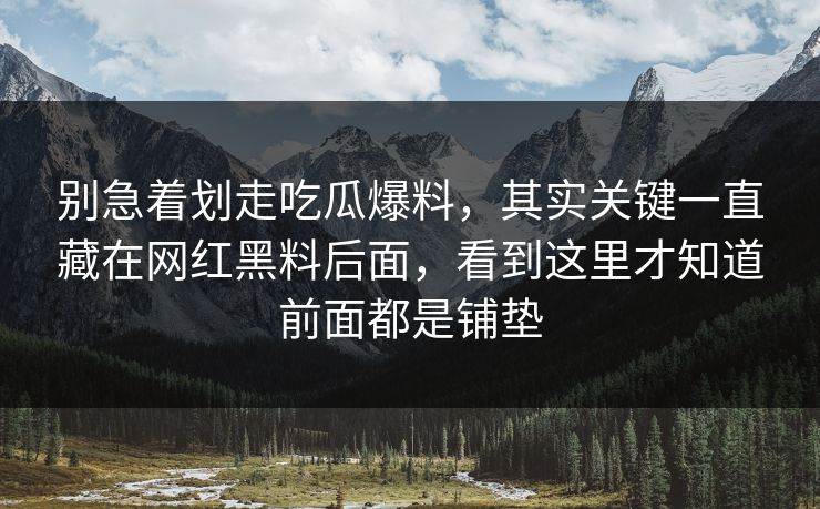 别急着划走吃瓜爆料，其实关键一直藏在网红黑料后面，看到这里才知道前面都是铺垫