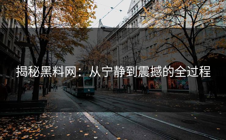 揭秘黑料网：从宁静到震撼的全过程