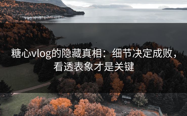 糖心vlog的隐藏真相：细节决定成败，看透表象才是关键