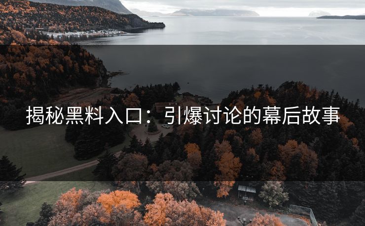 揭秘黑料入口：引爆讨论的幕后故事