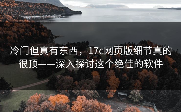 冷门但真有东西，17c网页版细节真的很顶——深入探讨这个绝佳的软件