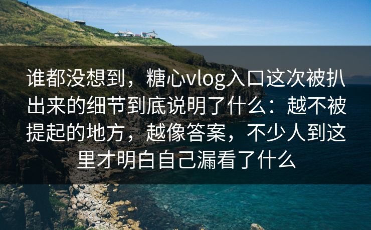 谁都没想到，糖心vlog入口这次被扒出来的细节到底说明了什么：越不被提起的地方，越像答案，不少人到这里才明白自己漏看了什么