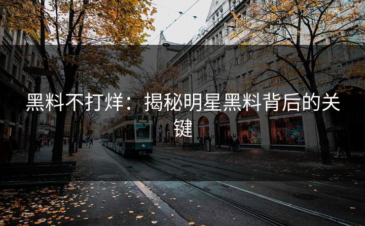 黑料不打烊：揭秘明星黑料背后的关键