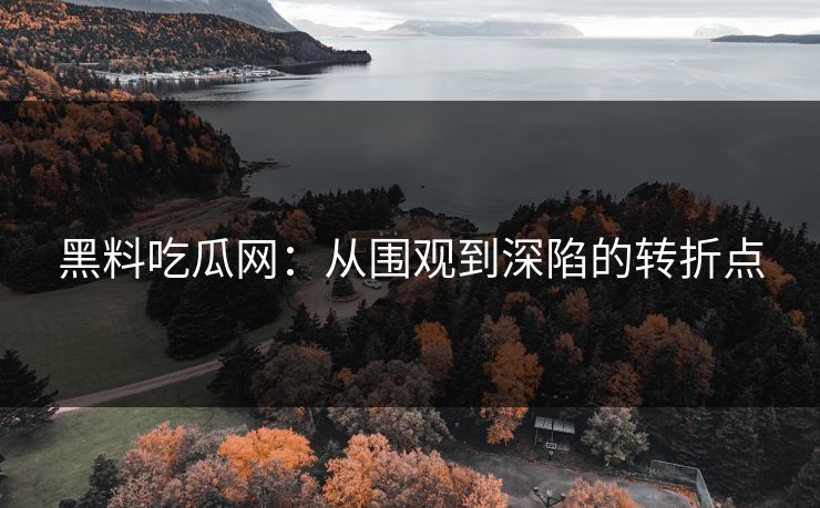 黑料吃瓜网：从围观到深陷的转折点