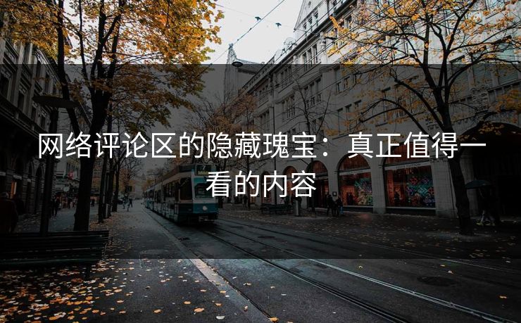 网络评论区的隐藏瑰宝：真正值得一看的内容