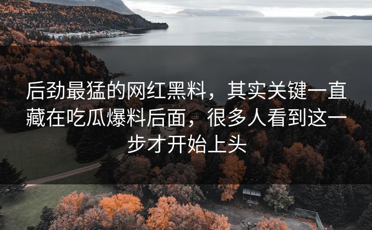 后劲最猛的网红黑料，其实关键一直藏在吃瓜爆料后面，很多人看到这一步才开始上头