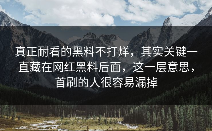 真正耐看的黑料不打烊，其实关键一直藏在网红黑料后面，这一层意思，首刷的人很容易漏掉