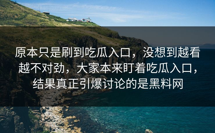 原本只是刷到吃瓜入口，没想到越看越不对劲，大家本来盯着吃瓜入口，结果真正引爆讨论的是黑料网